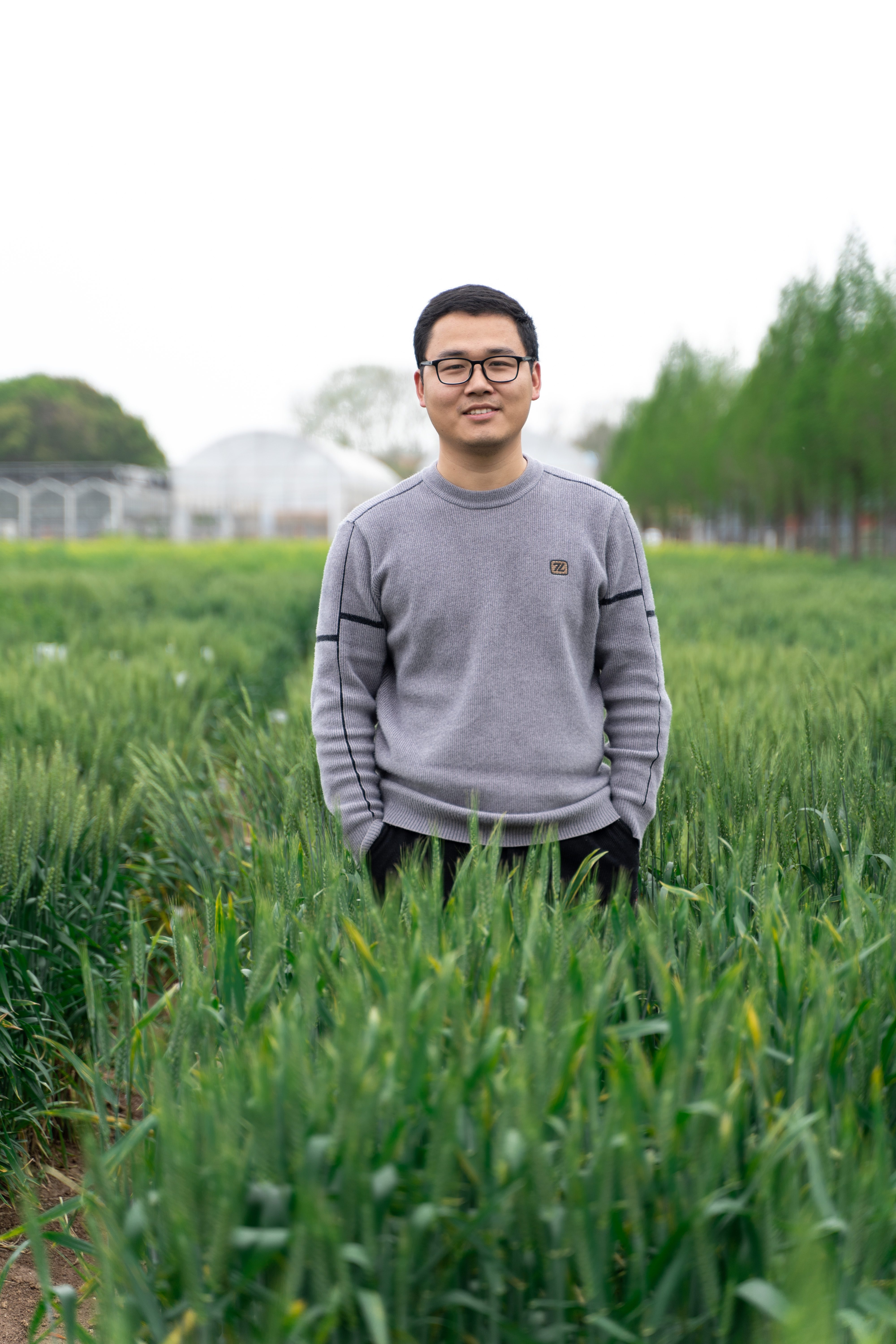 Yunzhen Li